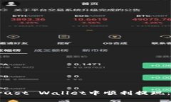 如何在Trust Wallet中顺利提
